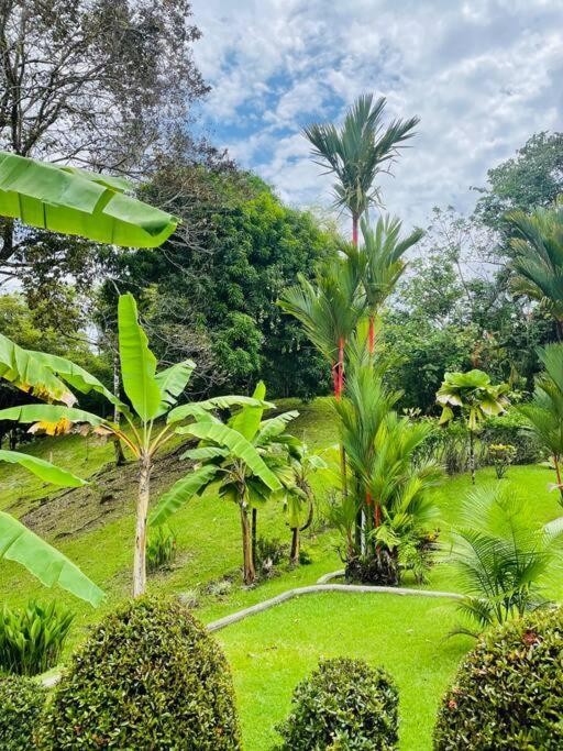 Suenos De Amor! Hermoso Y Acogedor Lugar Quepos Exterior foto